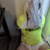 Diaper  Slave