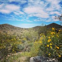 cloudyinthedesert