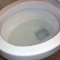 Thomas (the shit train)