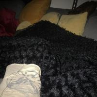 JRayProperty_SN43