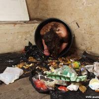 trashpisscollector