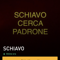 Silvo_94