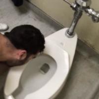 Toifaggot