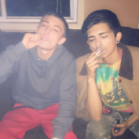 Master haze