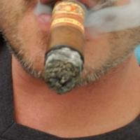 BWC SlowBurn