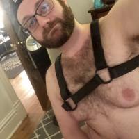 DomDaddyDon