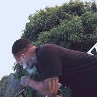 Kingdomxxl
