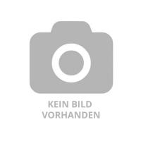CashFagVienna99