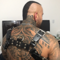 tattedpig