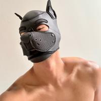 gaysianfindom