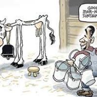 Seekers-CashCow