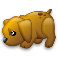 nyitalsub