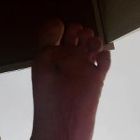 MasterDaniel23
