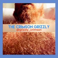 crimsongrizzly