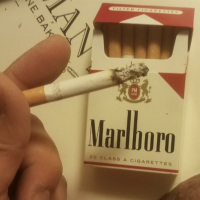 MarlbMuscleLvr