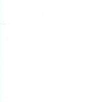 SouthFloridaFag