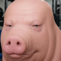 AnyHomofag