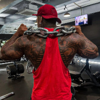 MASTER_MUSCLE_BR