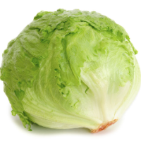 DomNiko