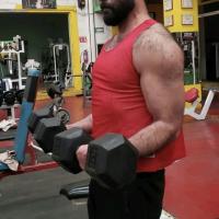 GiantDomTop