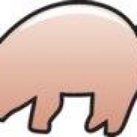 Paypiggy