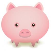 pinkpiggy
