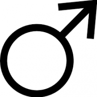 gaystud