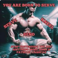 Pnpcashfag