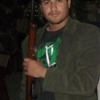 submissive_dog_needed