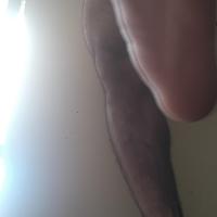 FinDomMaster26