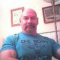 MuscleBull