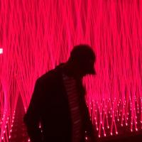 BaronBlackcard