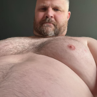 Fin_Bear_dom