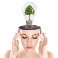 Italian_Masters-Slave