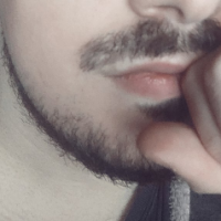 MrLeech