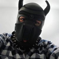 Pup_Maxx