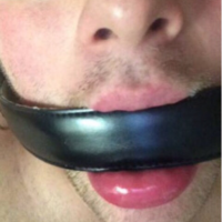 Faggot