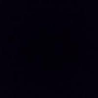 BastardSlave